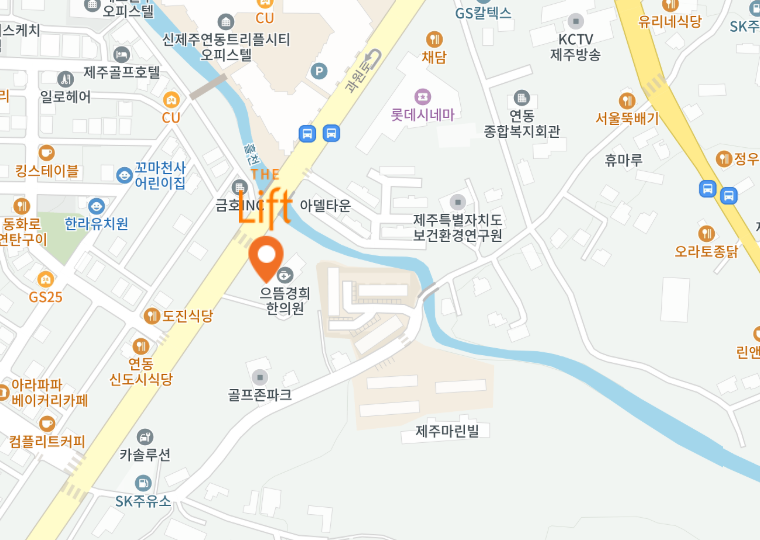 2026 濟州島 THE LIFT 皮膚科|專業提升診所 4.9 星評價 韓國醫美新寵插图4 2026 濟州島 THE LIFT 皮膚科|專業提升診所 4.9 星評價 韓國醫美新寵插图4