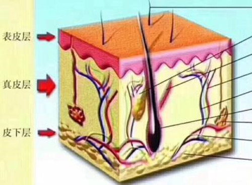 Perkhidmatan suntikan di Klinik Kulit Gao Yongxu